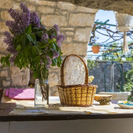 House Maya Apartman *